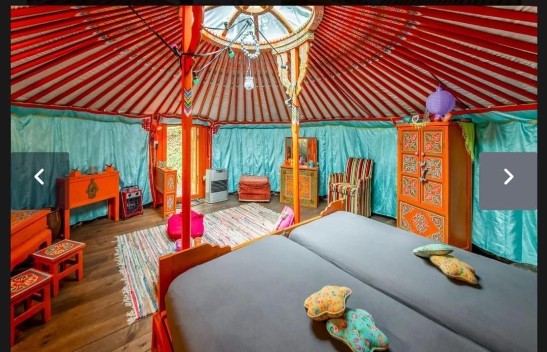 Yourte Mongole Et Cabane Houffalize Bagian luar foto